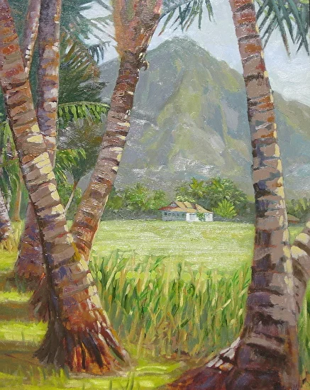 hanalei-valley.jpg