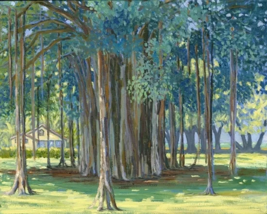 banyan-tree.jpg