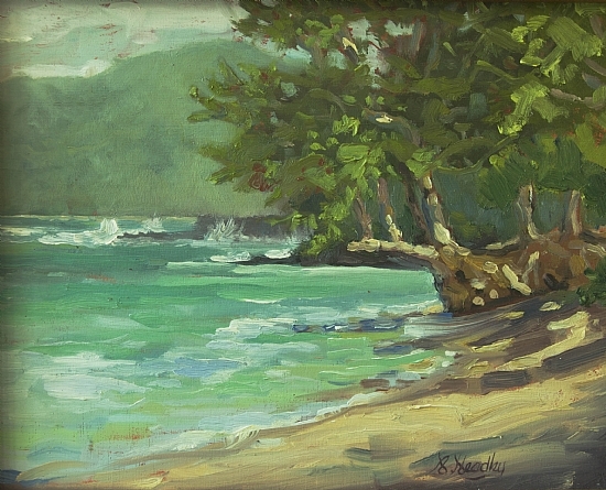 anini-beach.jpg