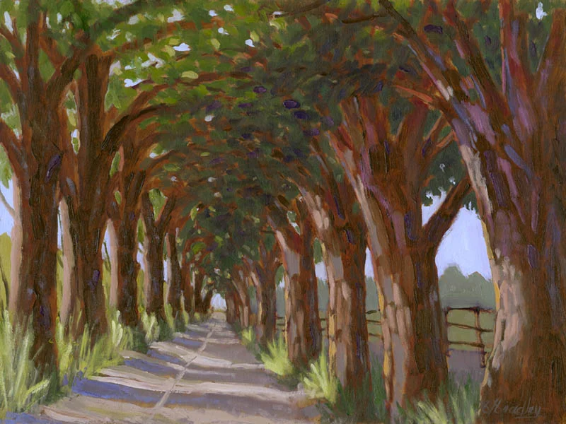 TreeTunnelWeb.jpg