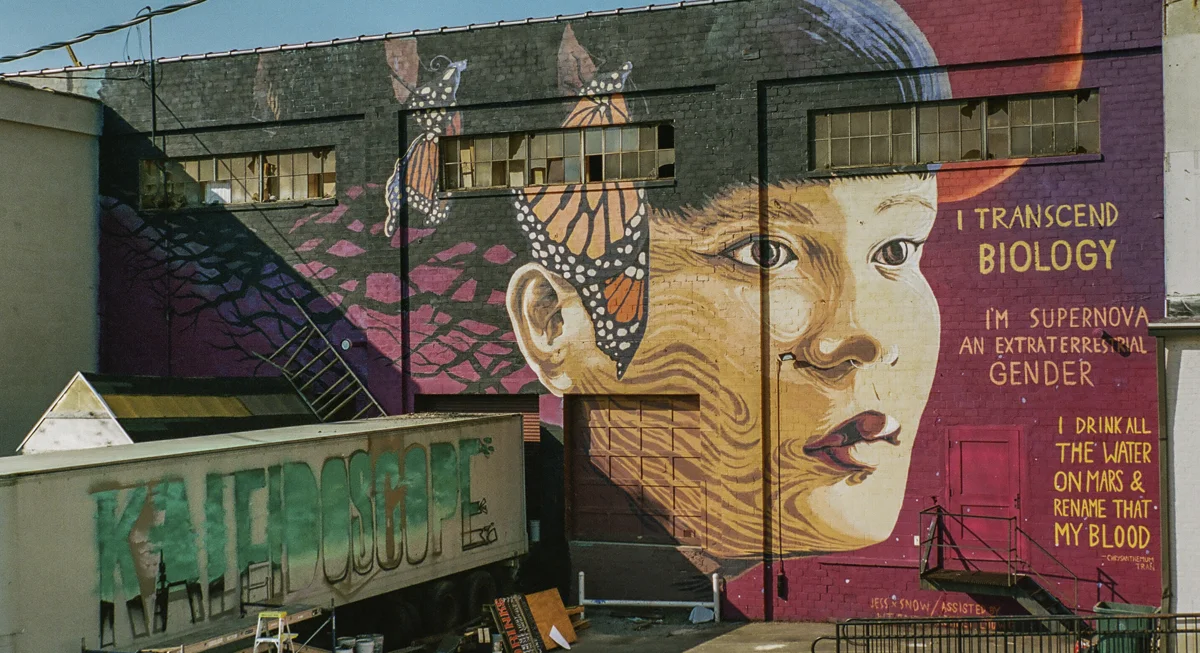 Mural of Chrysanthemum in Rochester, NY, painted by Jess X Snow for WALL\THERAPY 2017