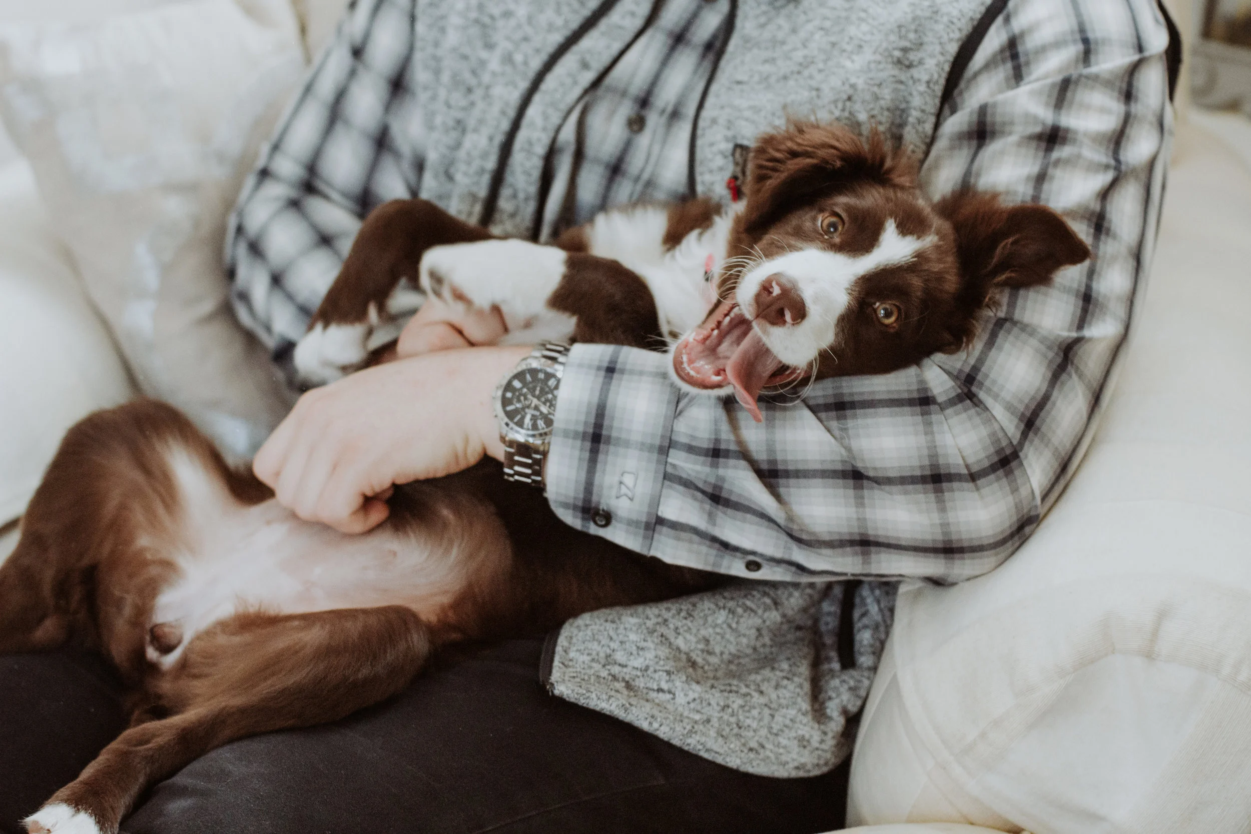 Bella's Puppy Session