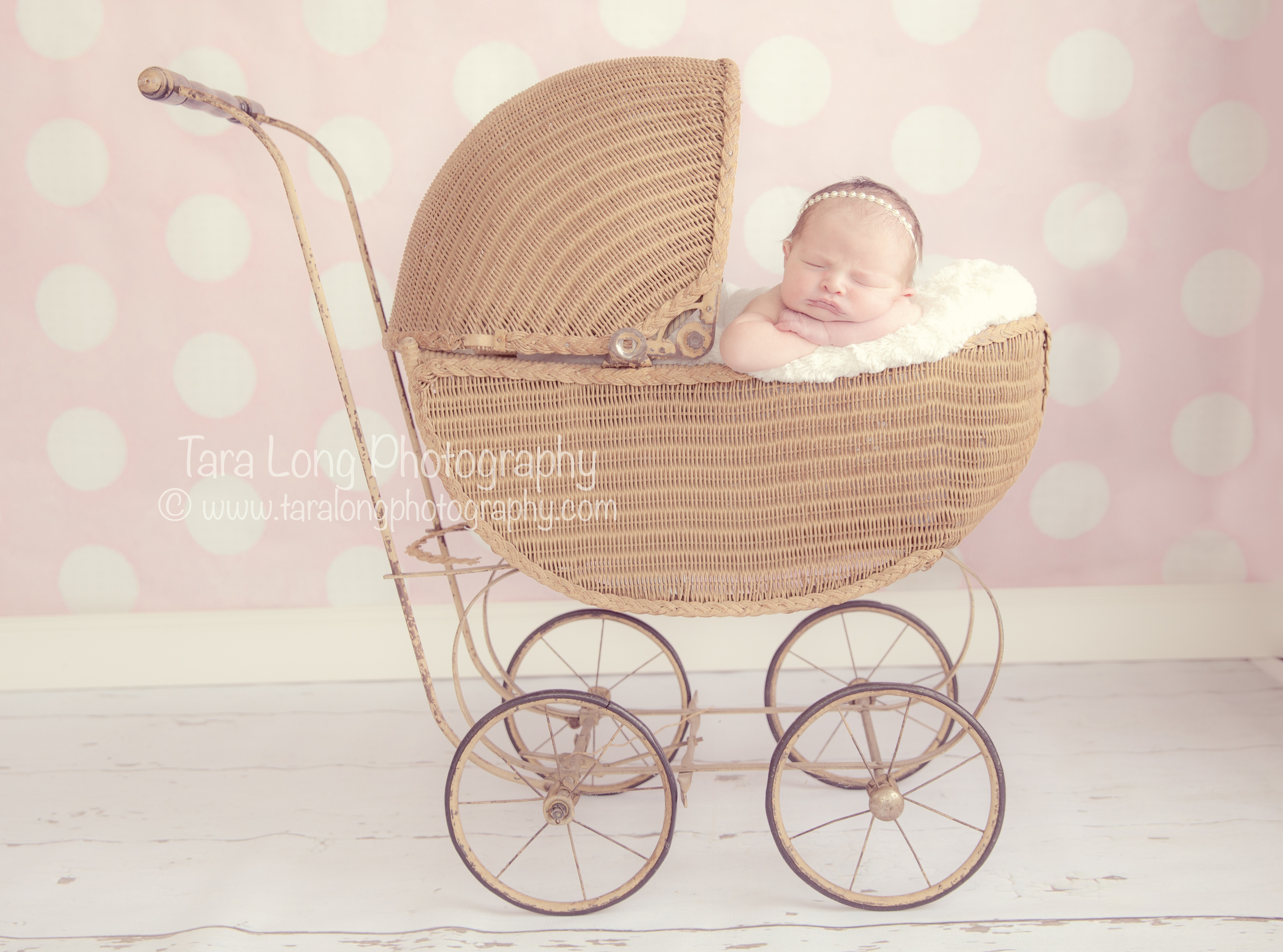 30xtaralongphotographynewbornphotographerspringfieldillinoisbestspringfieldillinoisbaby.jpg