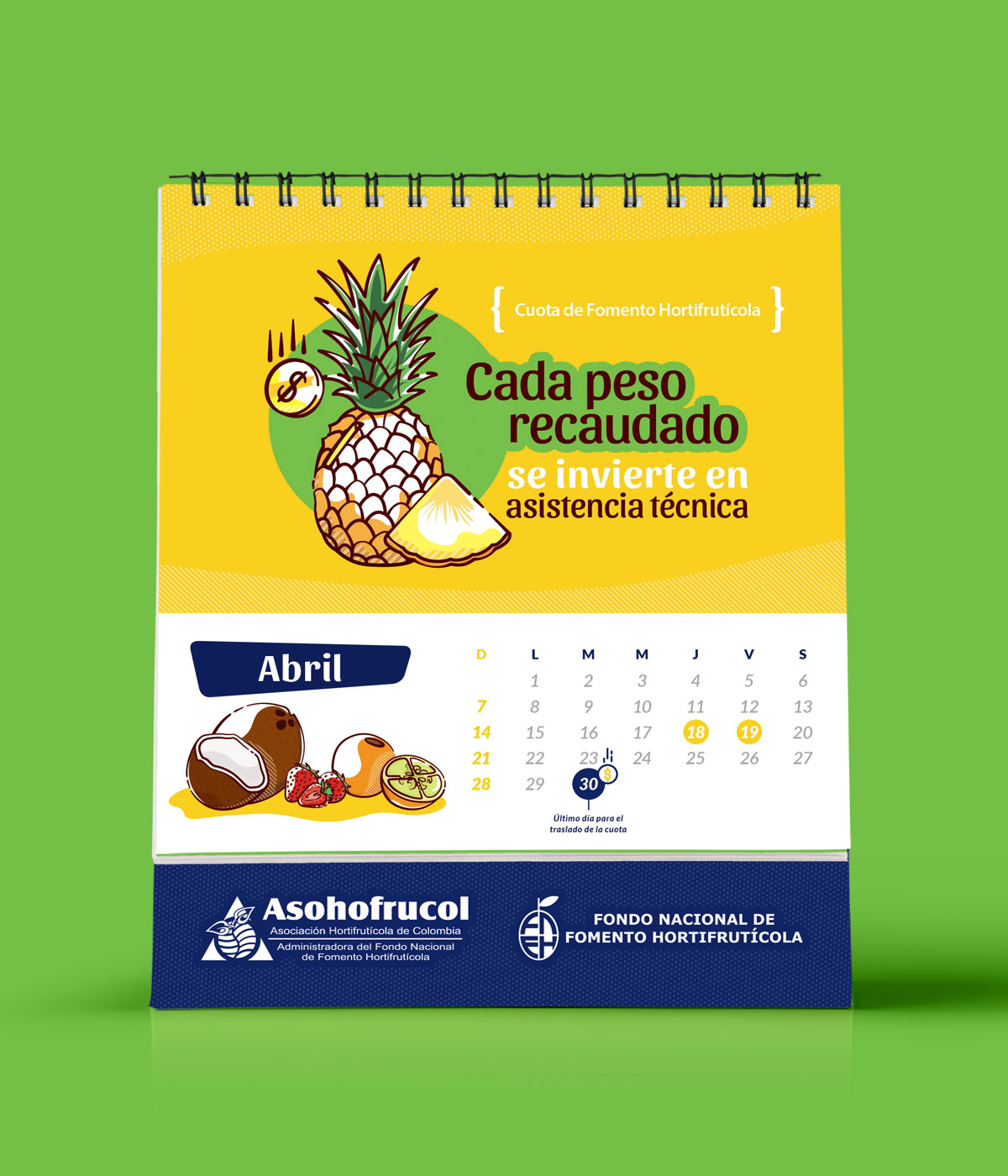 asohofrucol_fnfh_recaudo_calendario_piña2.jpg