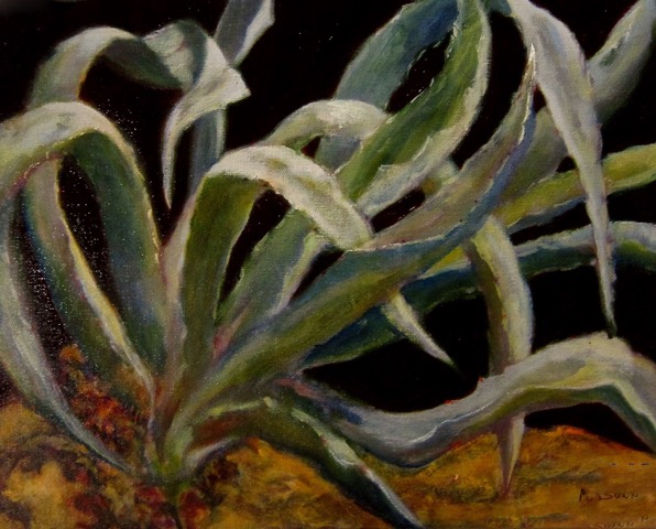 Agave in Provence oil.gal wrap ca 11x14 .jpeg