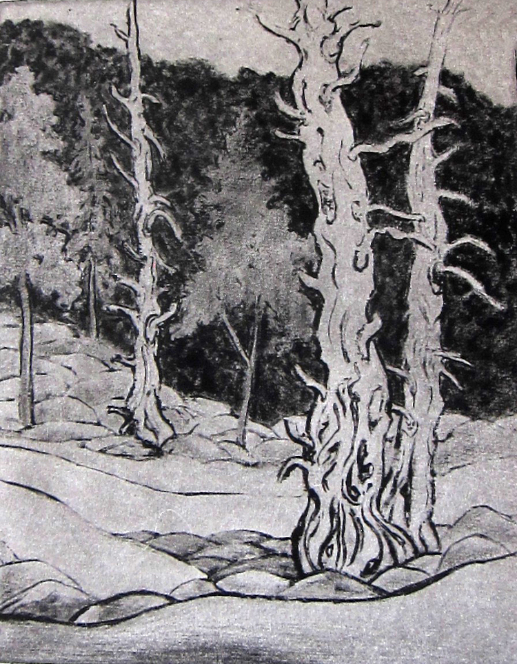 Fall+in+the+Wasatch++etching++10x7.75++.jpg