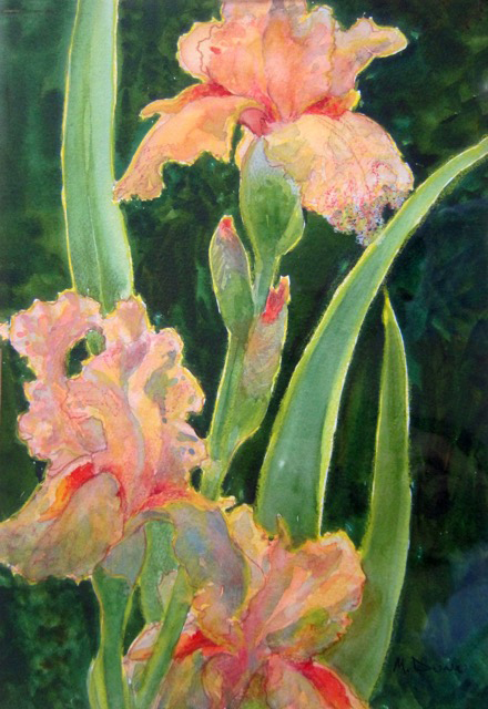Mindy's Peach Iris wc_crayon 11.5x7.75 '04.jpeg