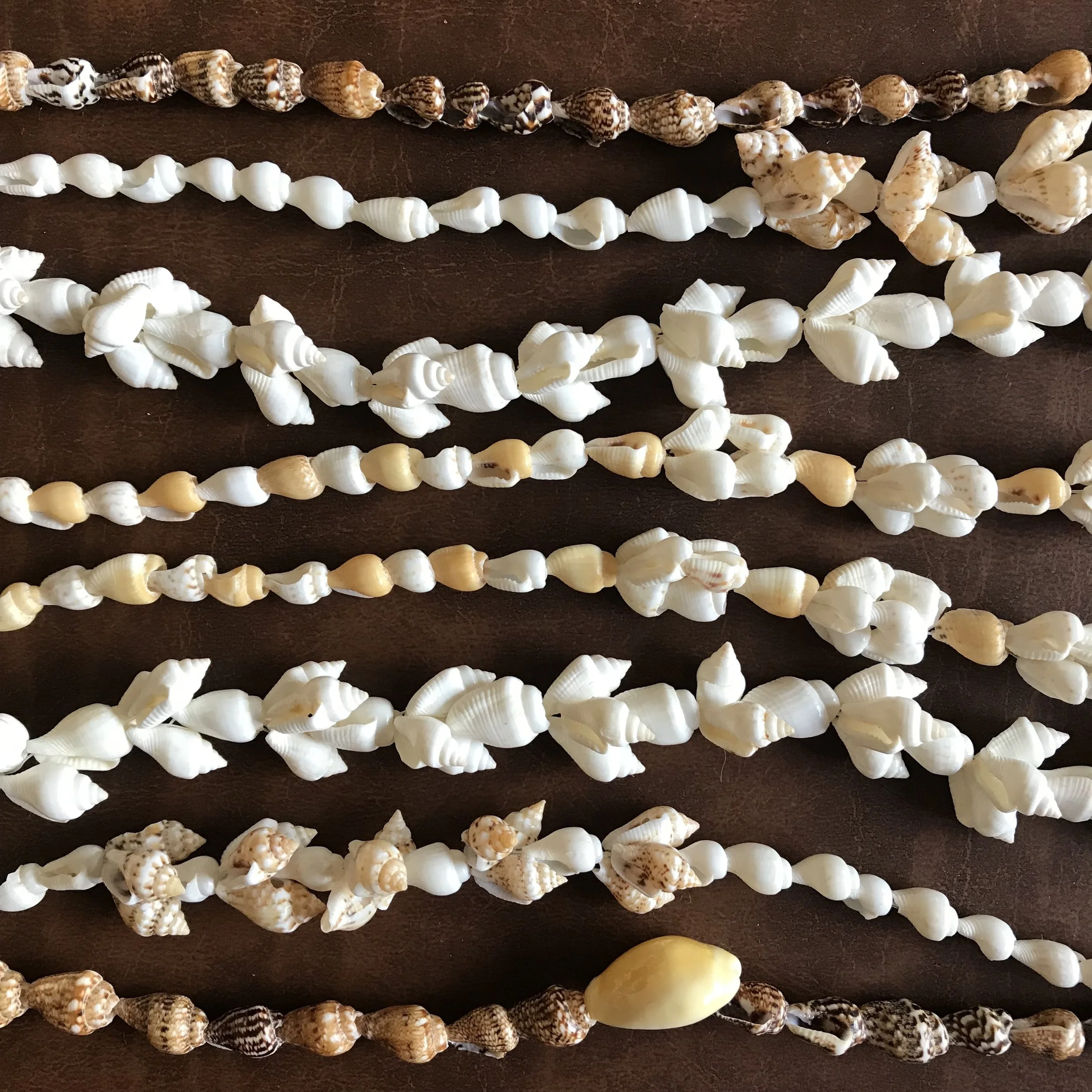 Shells