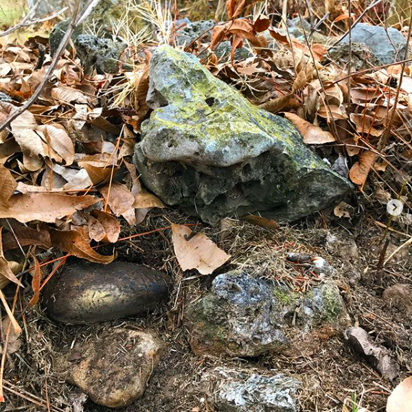 Old Friends in the Rock Pile