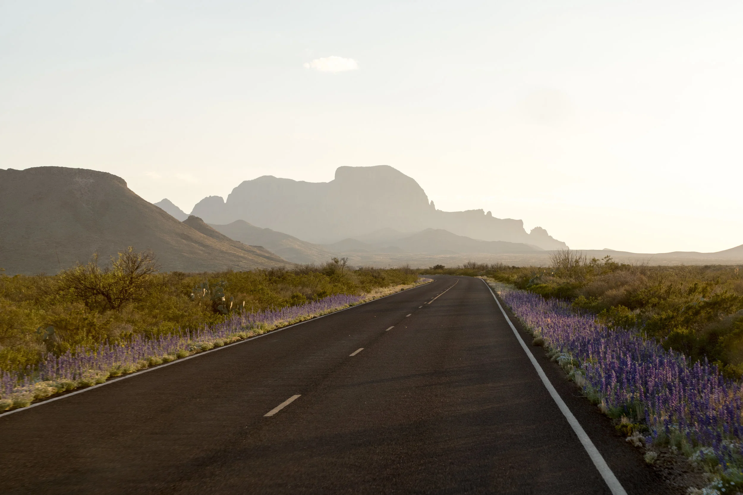 Arriving in Big Bend
