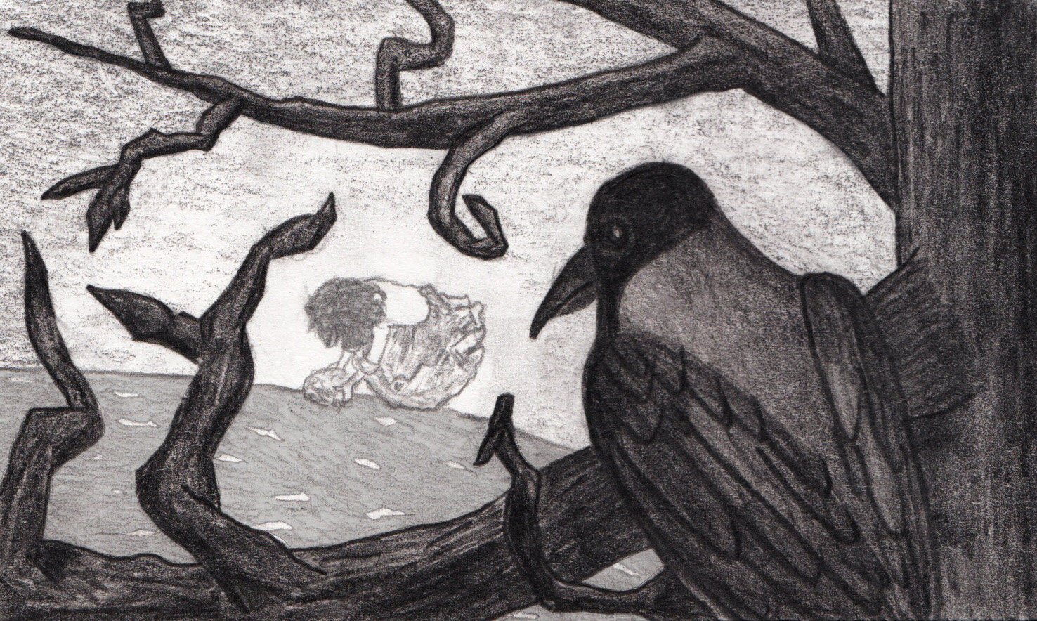 Hoodie Crow Tone Study