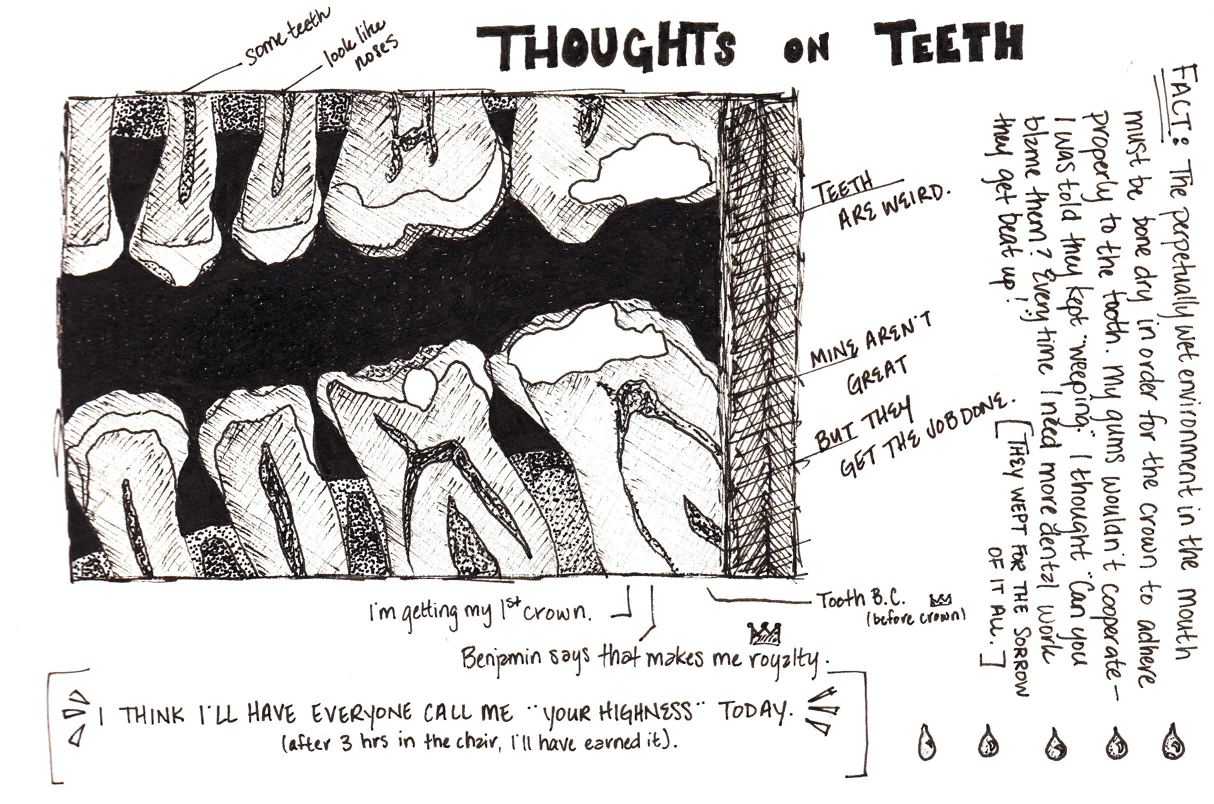 Thoughts on Teeth