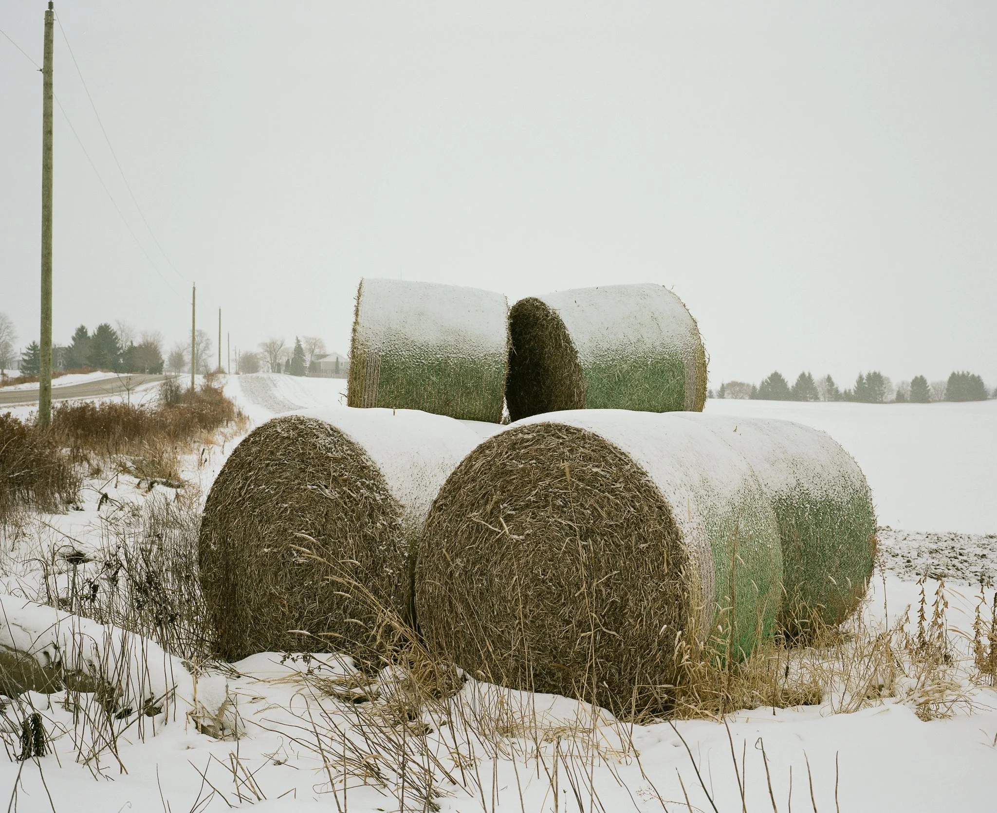 Thesis Project - All Images-40.jpg