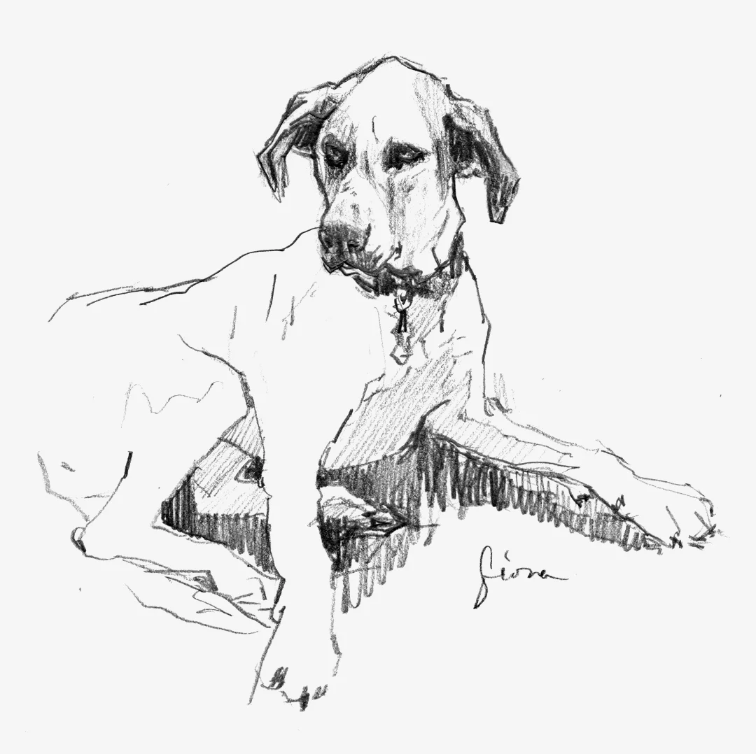 Sketch-Fiona-img119-1080w.jpg
