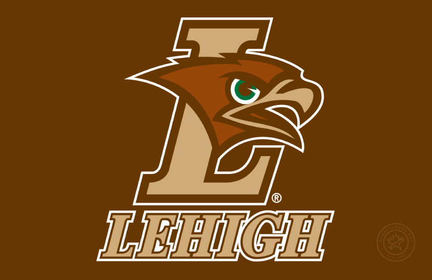 lehigh_mountain_hawks_logo_alt_on_dark_2008_sportslogosnet-7891.png