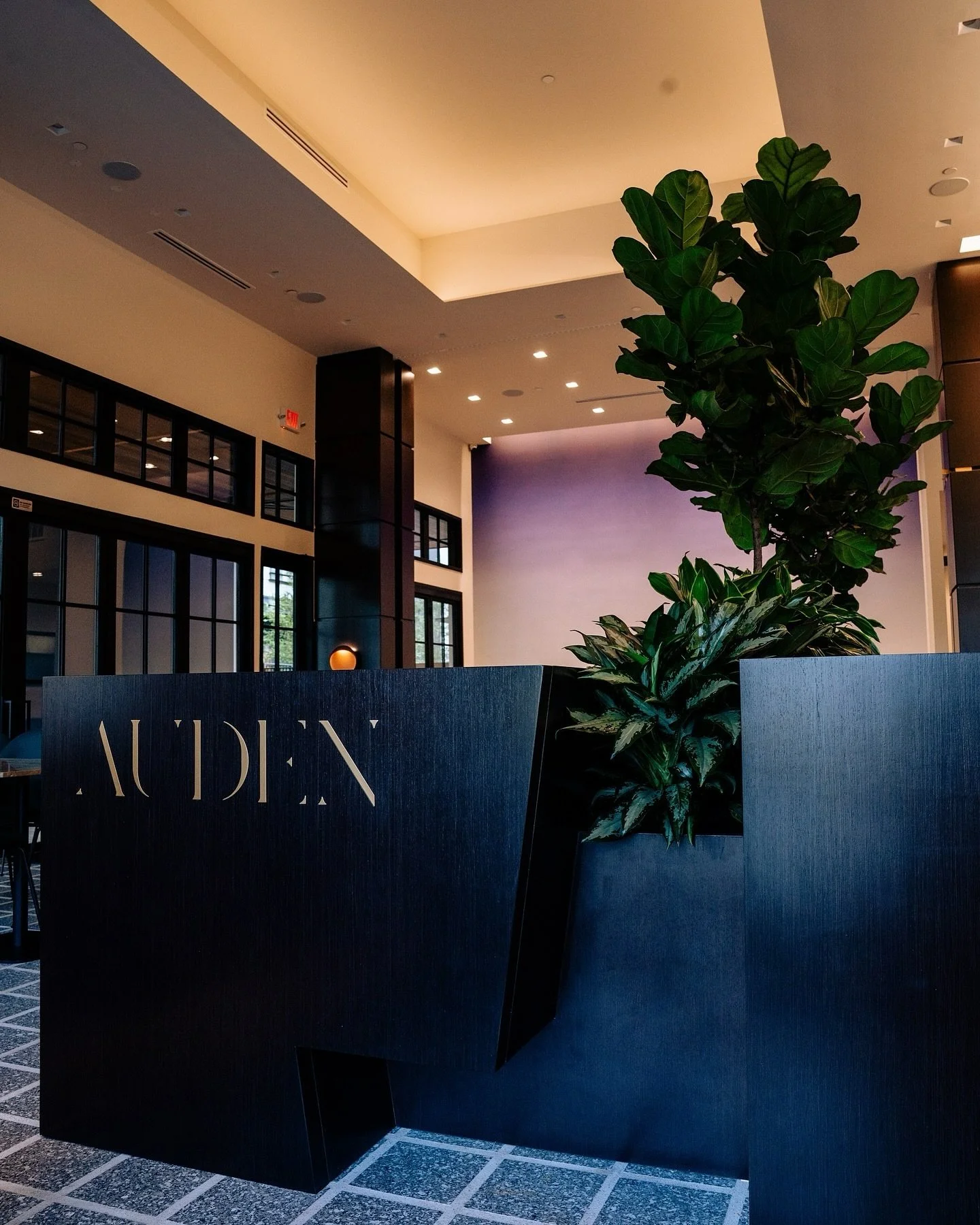 I&rsquo;ve been able to work on some cool projects this year, and one of them is curating the music that plays in @audenhtx, a new restaurant in Houston&rsquo;s @autrypark! 

I&rsquo;ve been working with Nitecap Hospitality throughout the months to s