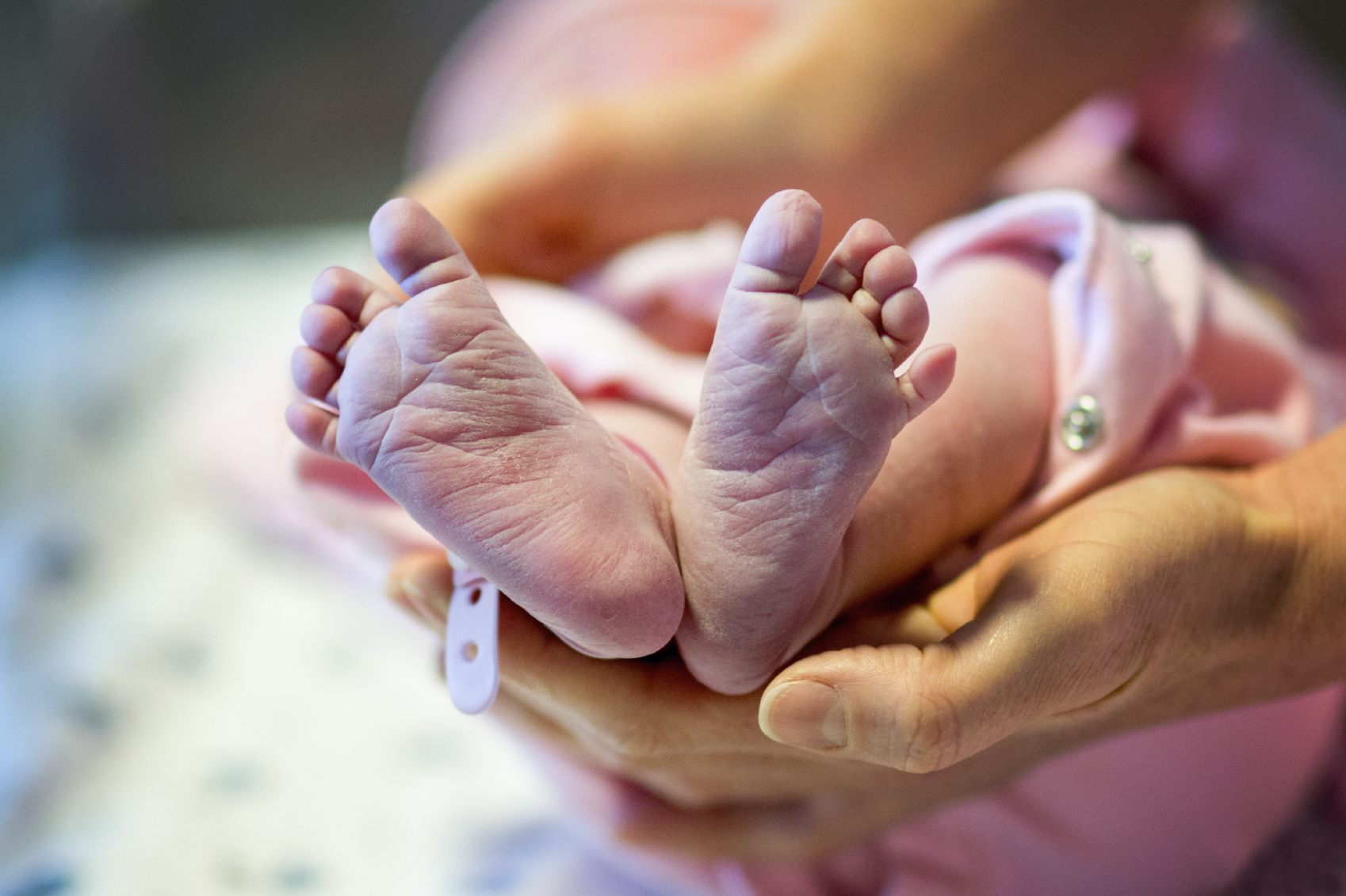 iStock_000063321199_Medium.jpg
