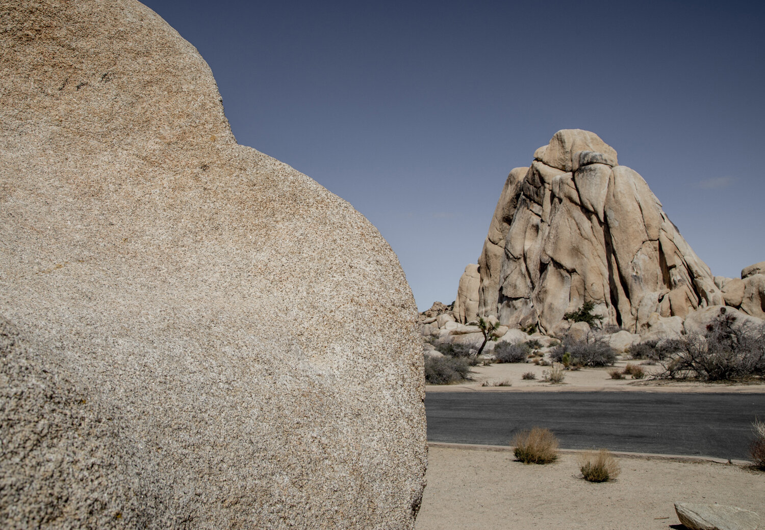 Joshua Tree National Park