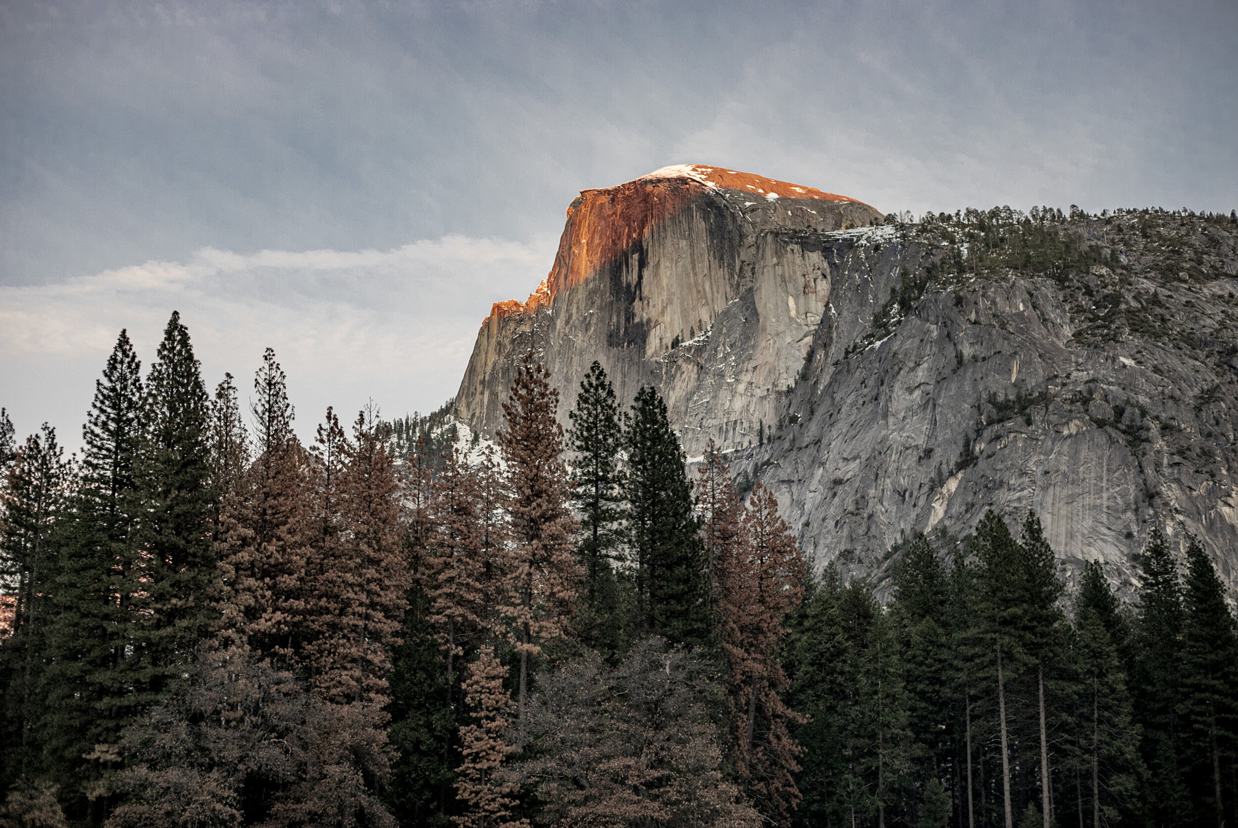 Yosemite National Park