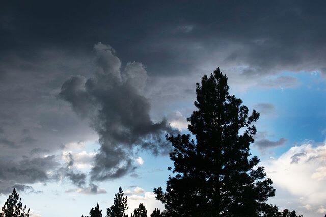 A fun little can-can girl cloud. Reminds me of the revelry in a Toulouse-Lautrec cartoon. 
#cloudbusting #sunset #clouds #tucannon #easternwashington