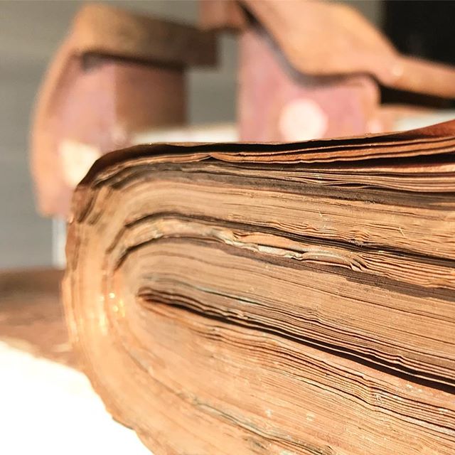 T H E  S T O R Y behind this almost paper thin copper will slowly unfold as we experiment with different techniques.  What would you do with 50 plus metres of copper? #ideas #copper #copperart #supportlocal #copperbydesign