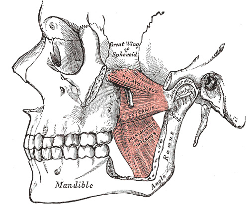 image via wellness advocate