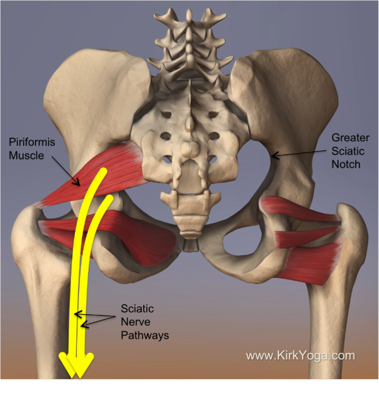 piriformis_sciatic_remedial_massage_queenstown.jpeg