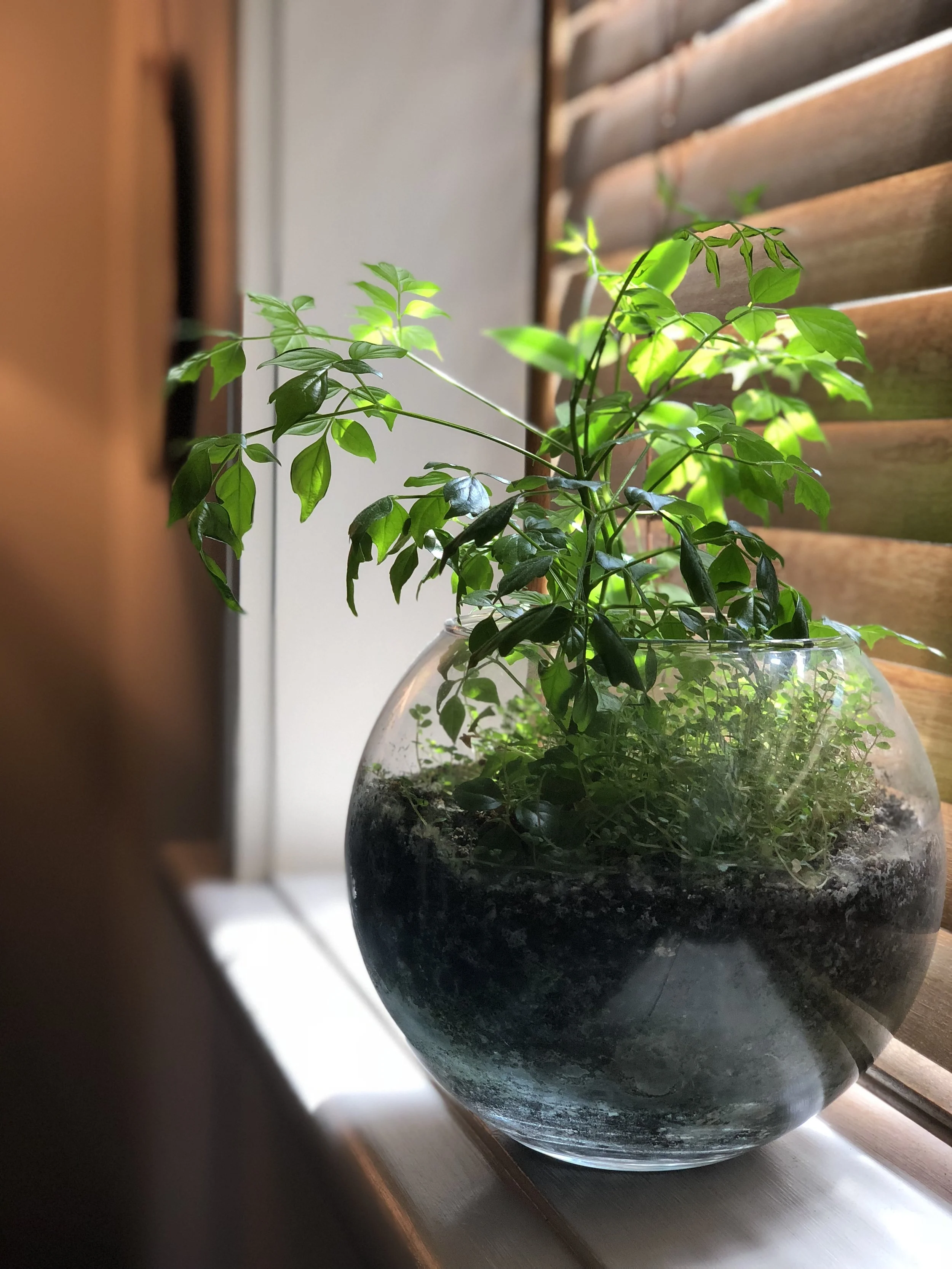 Remedial massage Queenstown 4.jpg