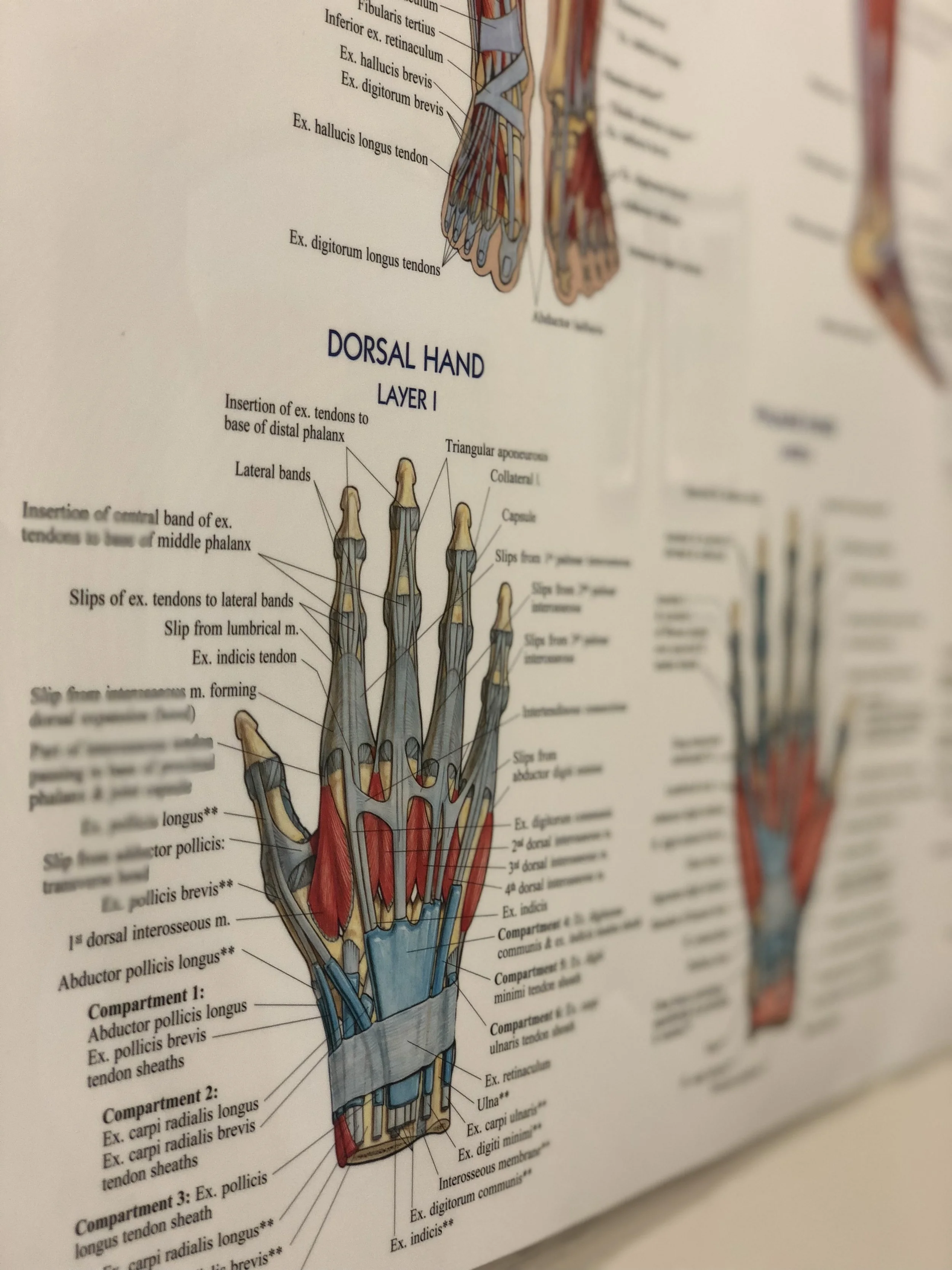 Remedial massage Queenstown 10.jpg