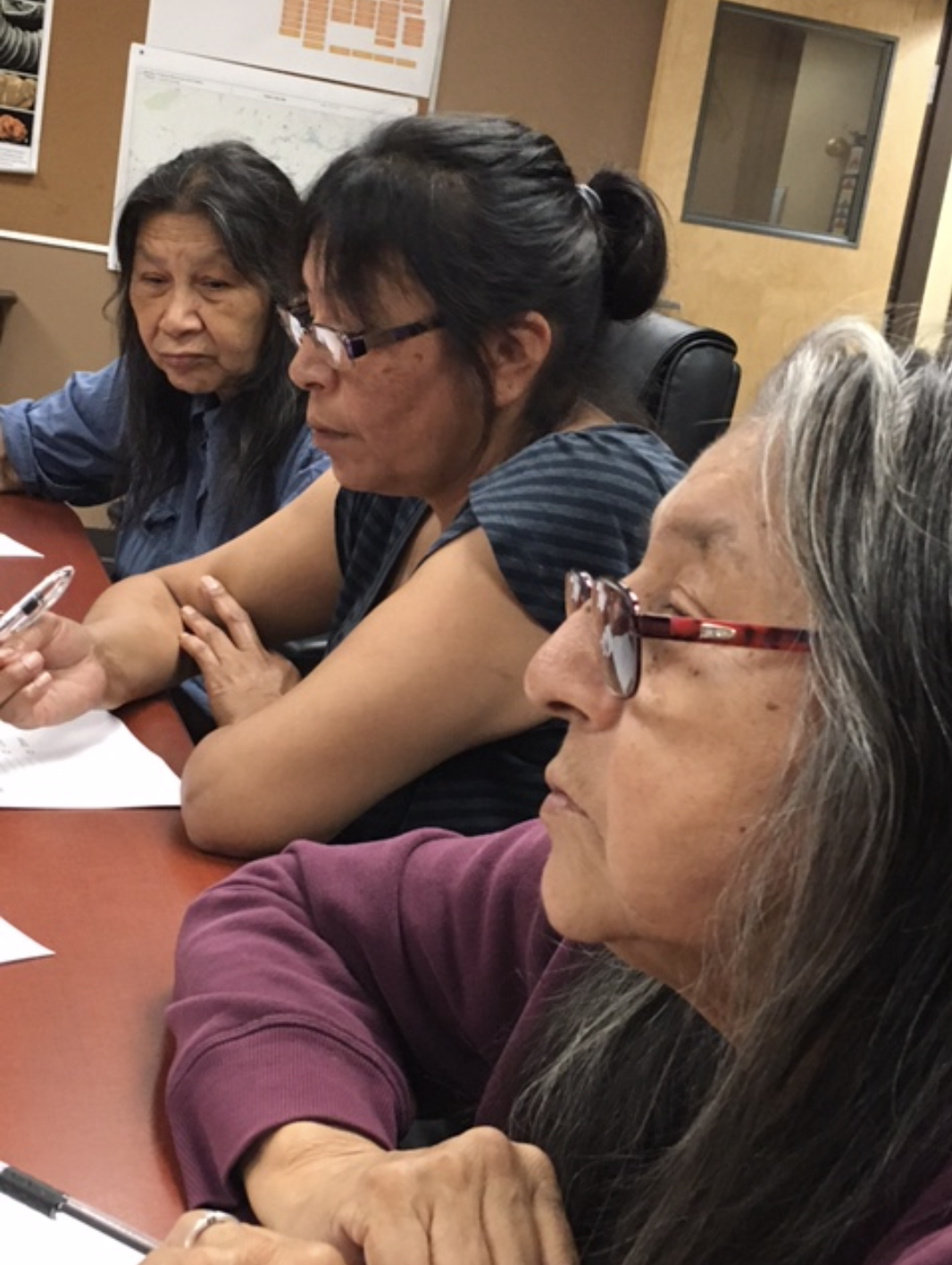Elders Daisy and Jane with a translator. 