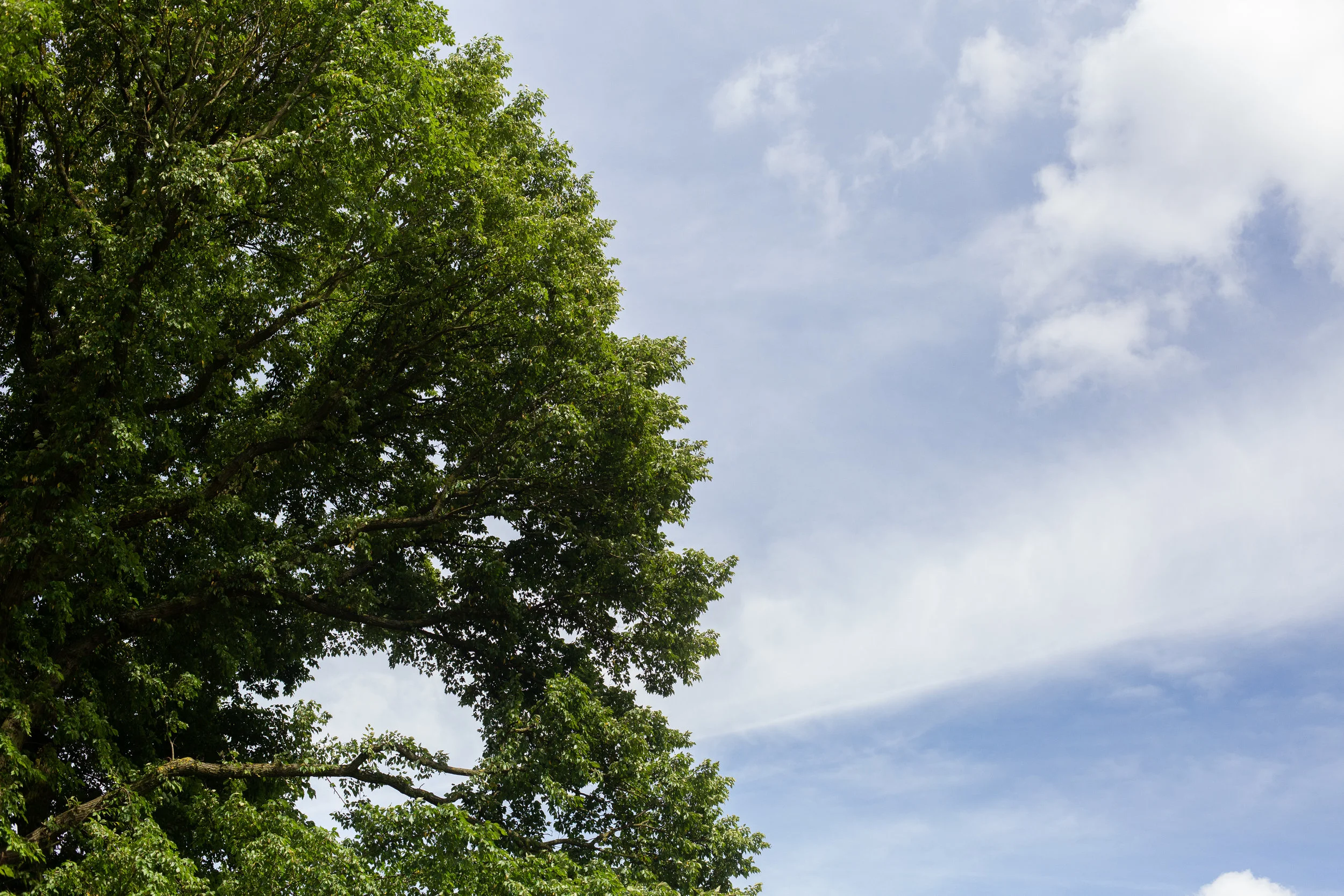 6. The World Above 1.jpg
