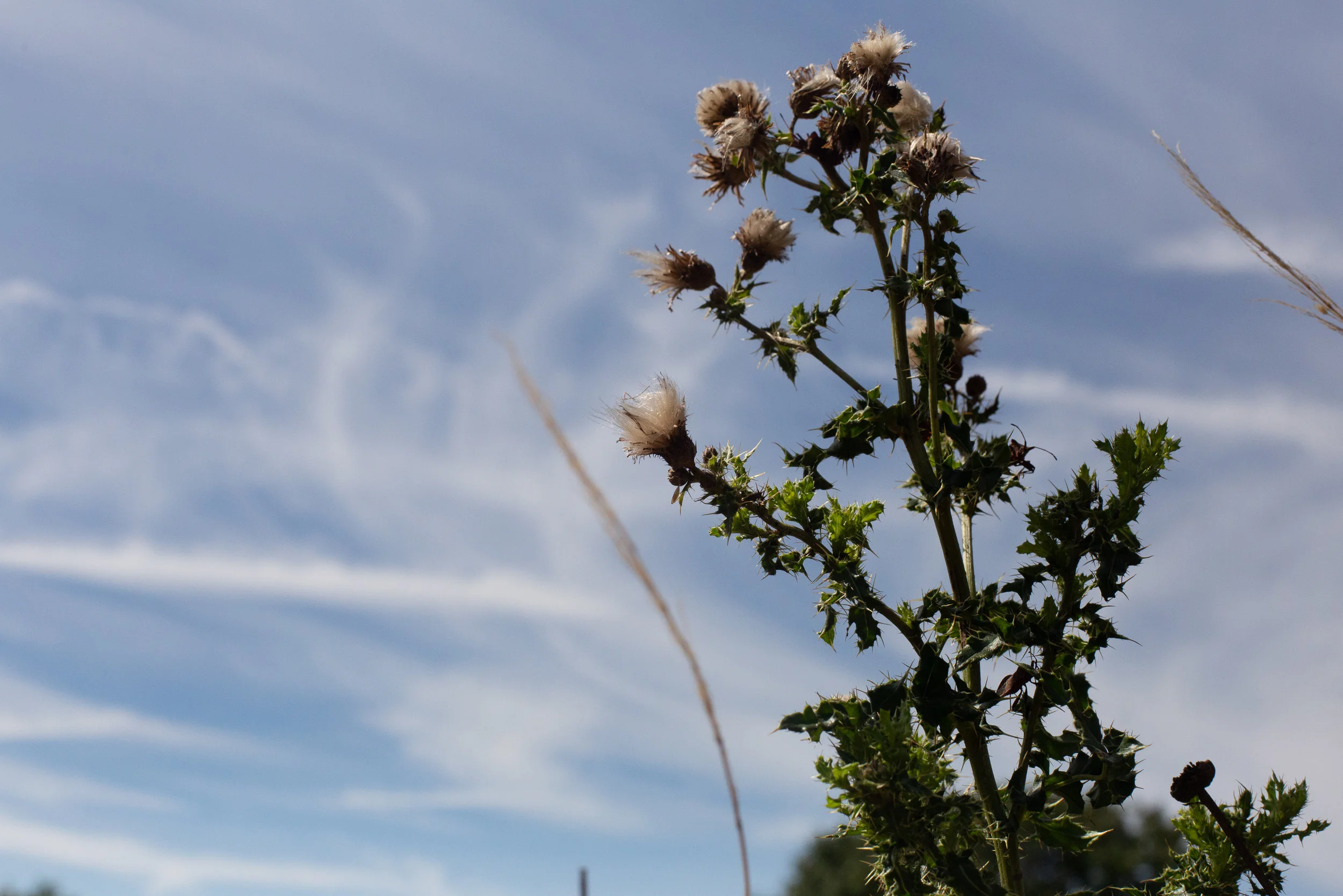 16. Texture 3.jpg