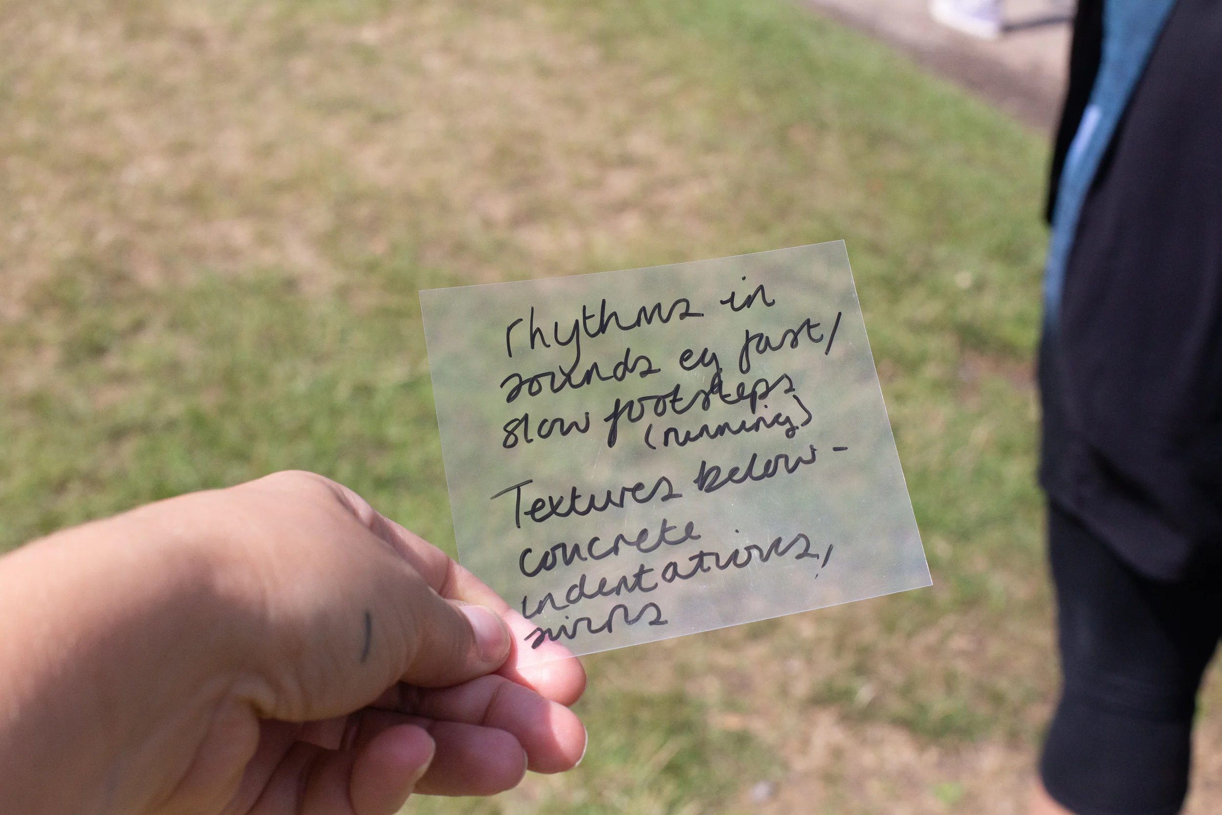 33. What We Noticed - Clare C.jpg