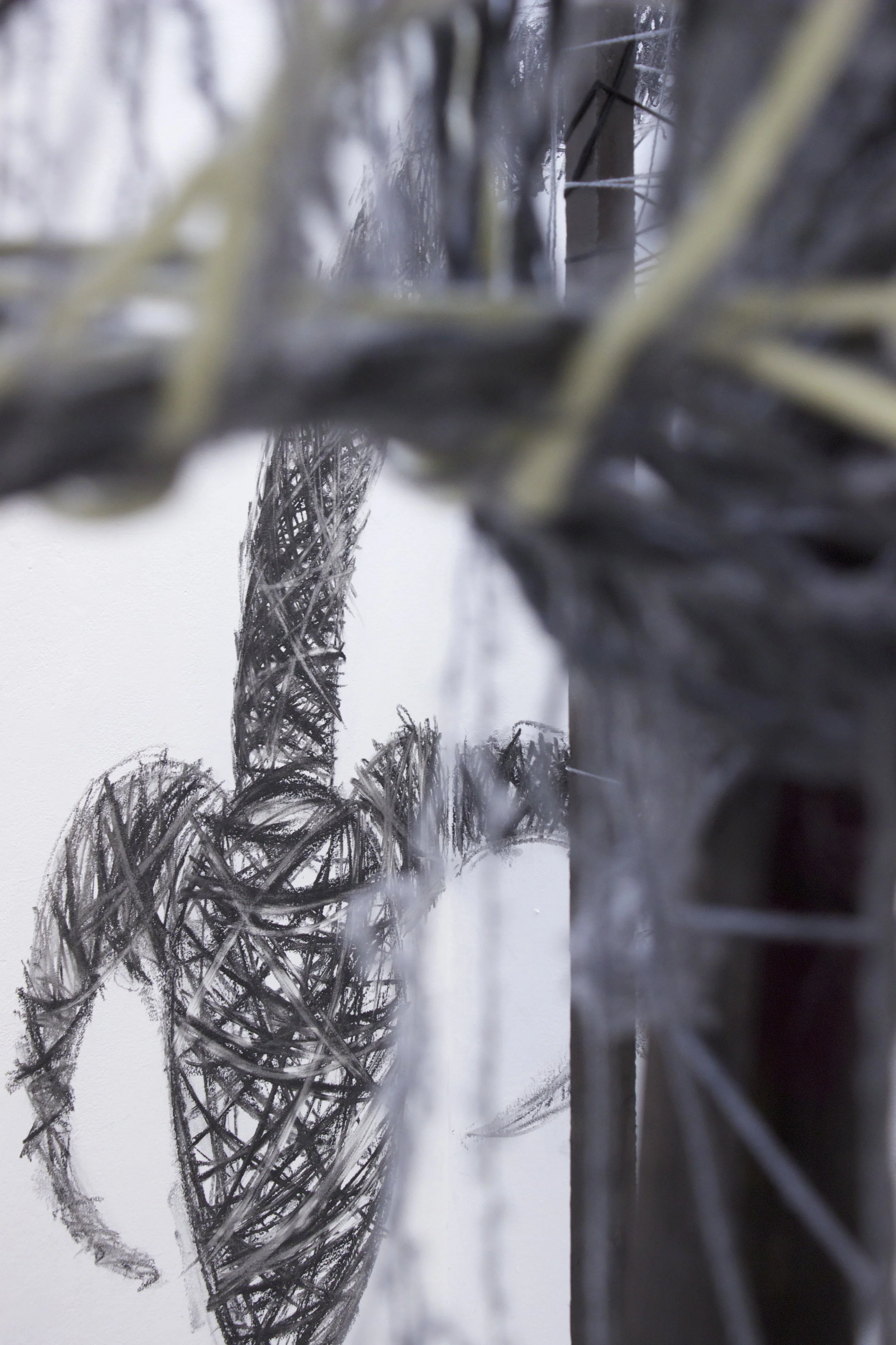 'Untitled' B.A. Degree Show, I.T. Sligo, 2013
