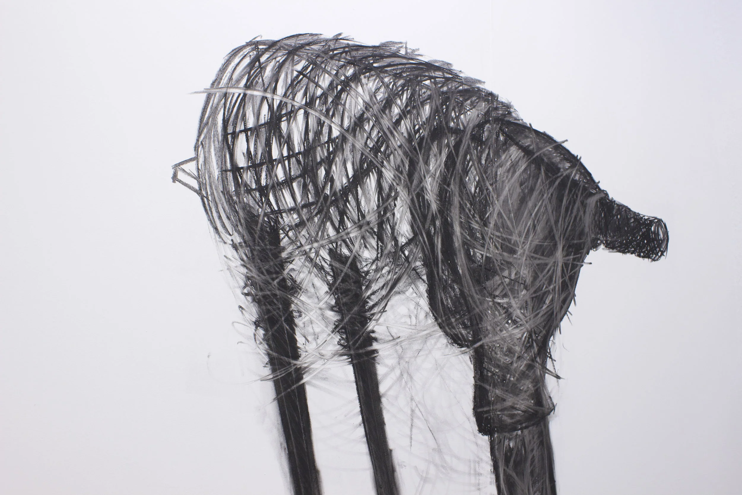 'Untitled' B.A. Degree Show, I.T. Sligo, 2013