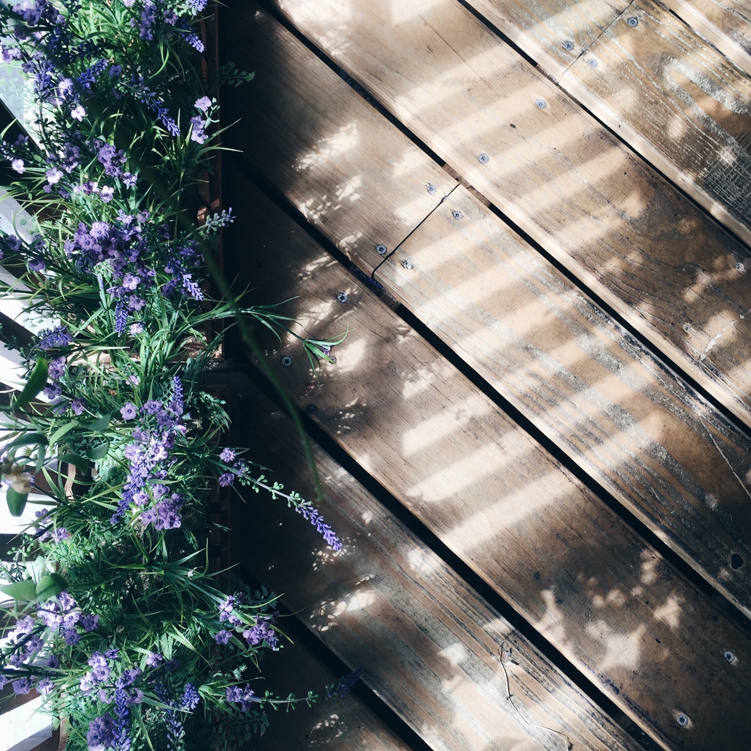   A quiet, happy Sunday morning.    一個靜謐的週日早晨。  