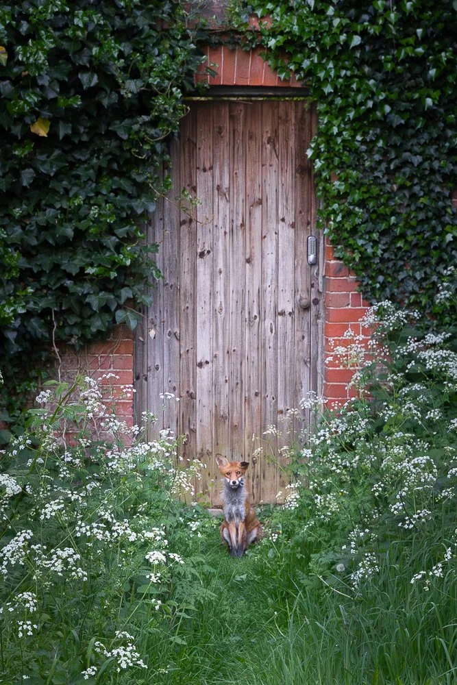Gate Keeper-2.jpg