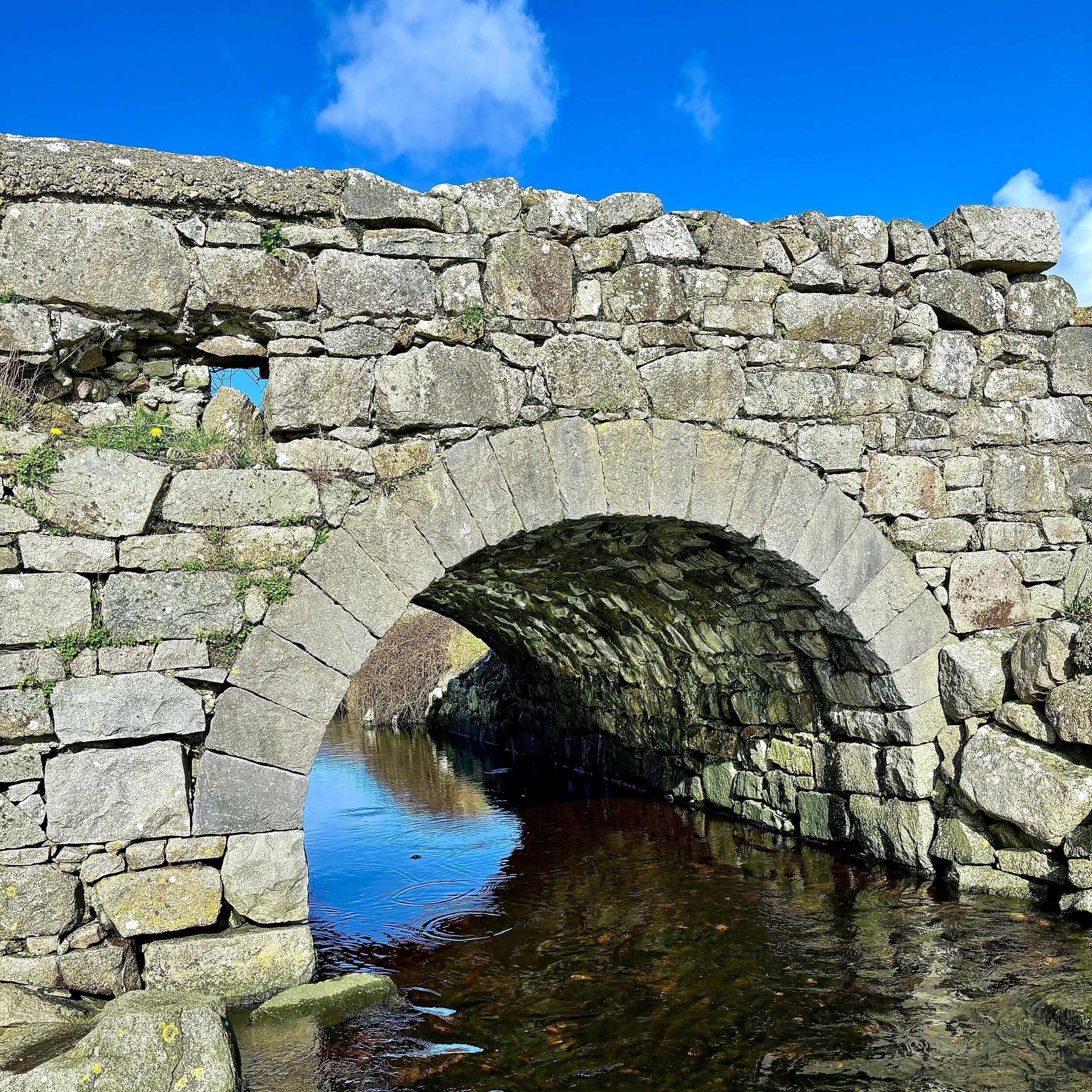 It's moments like this with the combination of sunshine and water really get me looking forwards to bringing people out kayaking again soon. 
This beautiful bridge is beside Barna pier if you want to visit yourself.

#galwaykayaktours
#giveitago 
#pr