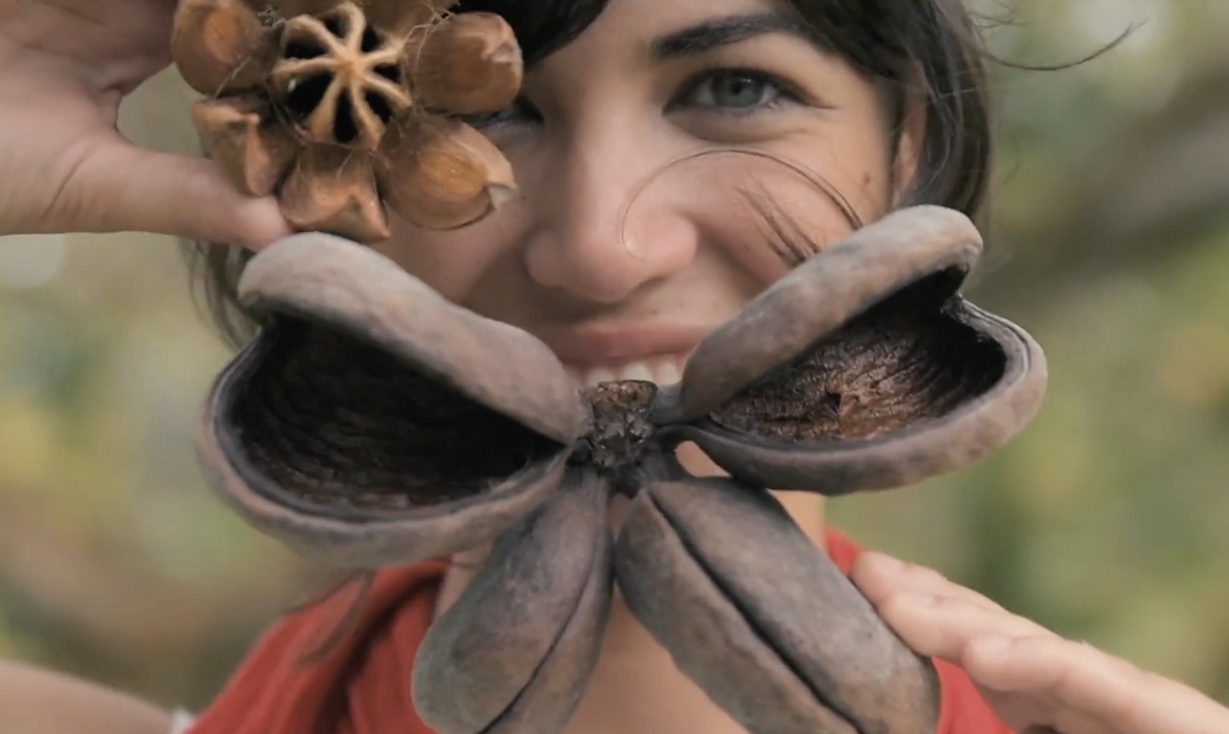 Caribe x Isla y Vuelta