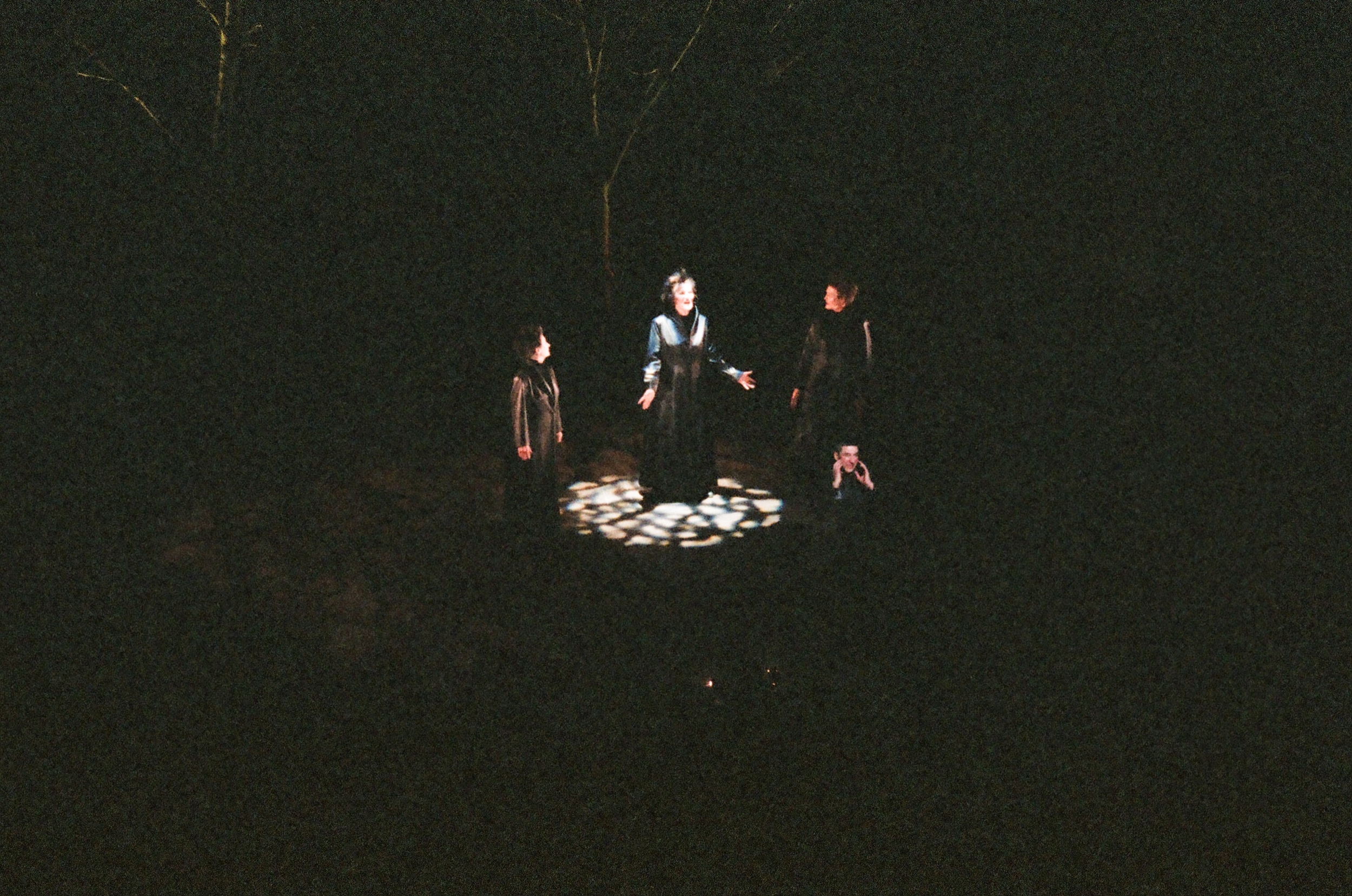 13710021.jpg
