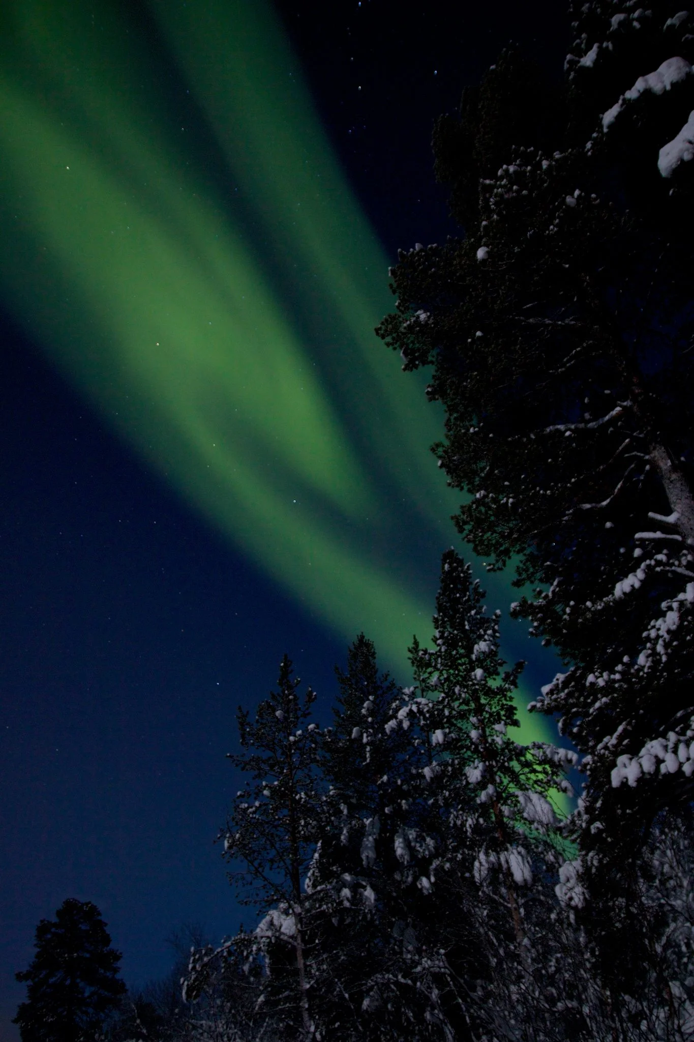 Et hjerte i nordlyset. 