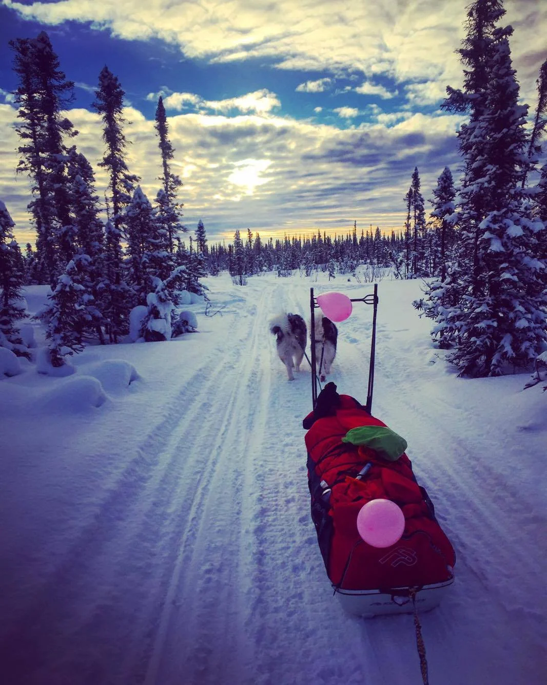 Min favoritt pulk har vært med meg på mye...