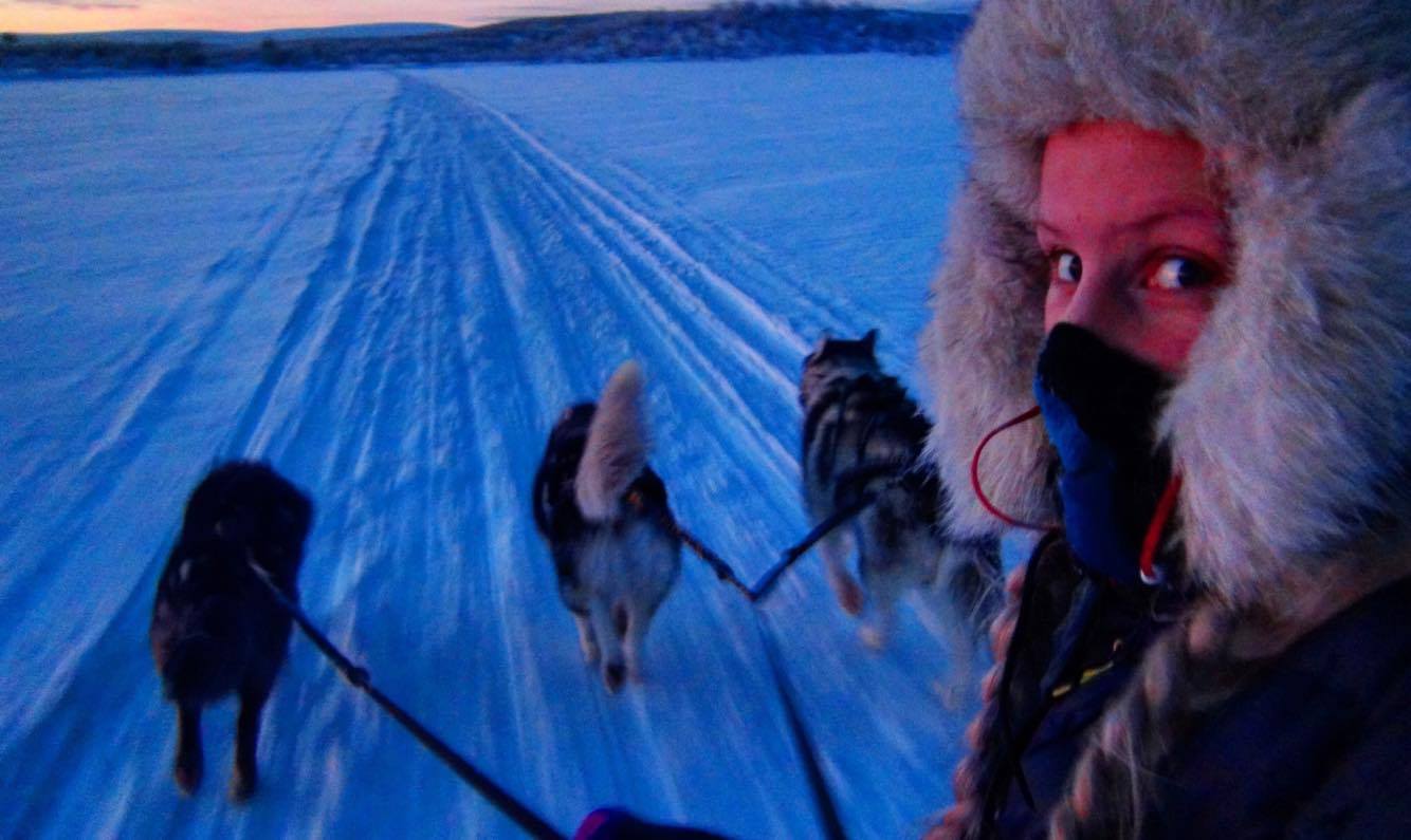 Å snørekjøre med 3 hunder om gangen gjorde jeg én gang, og aldri mer.... #RettPåTrynet