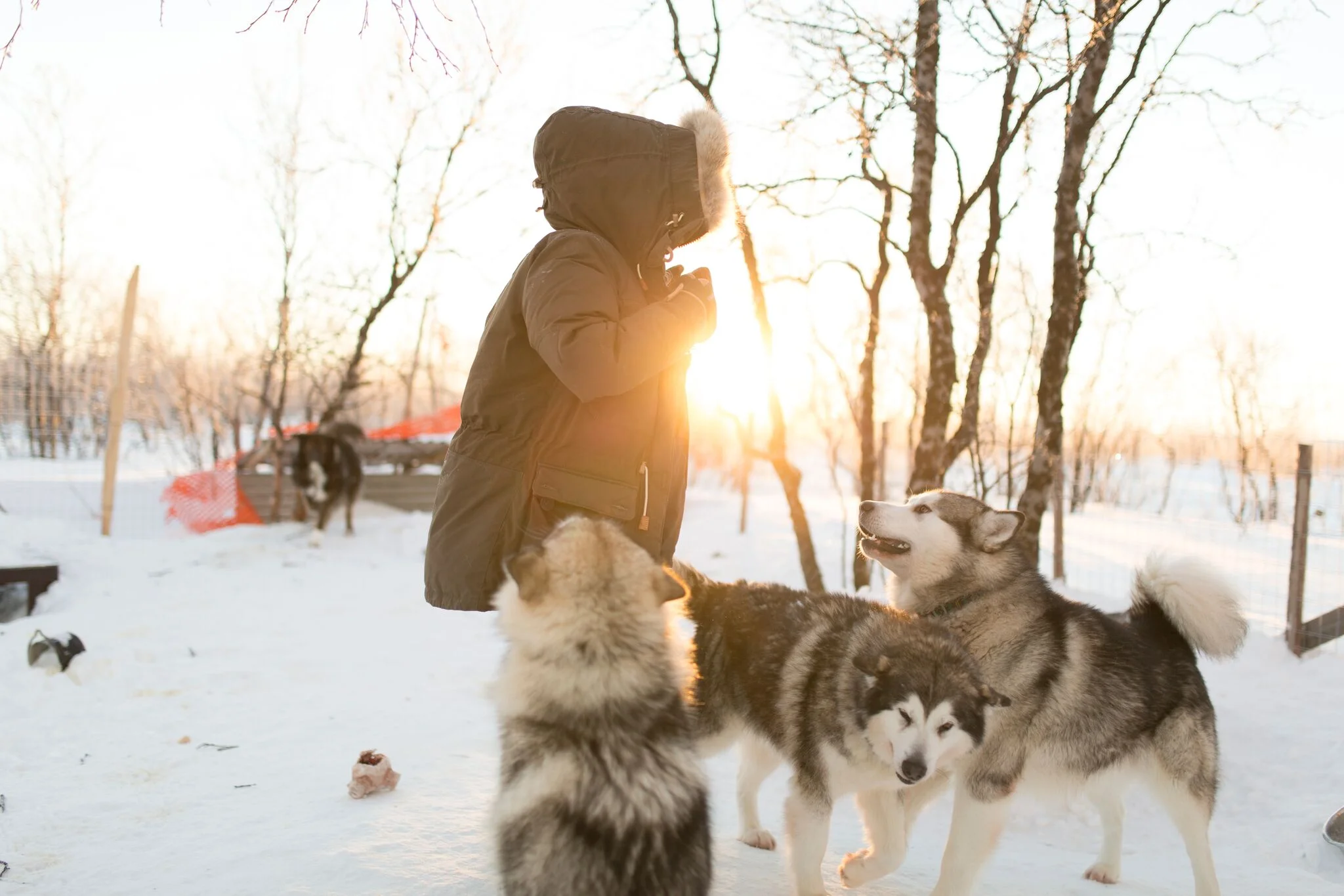 Livet som hundemamma er ikke så værst! Foto: Christina Gjertsen