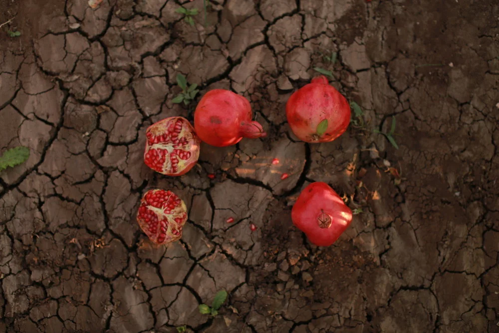 Why a Modern Cosmetics Company Is Mining Armenia’s Ancient Manuscripts