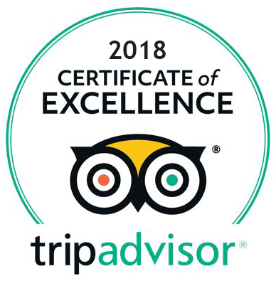 TA_Certificate of Excellence_2018.png