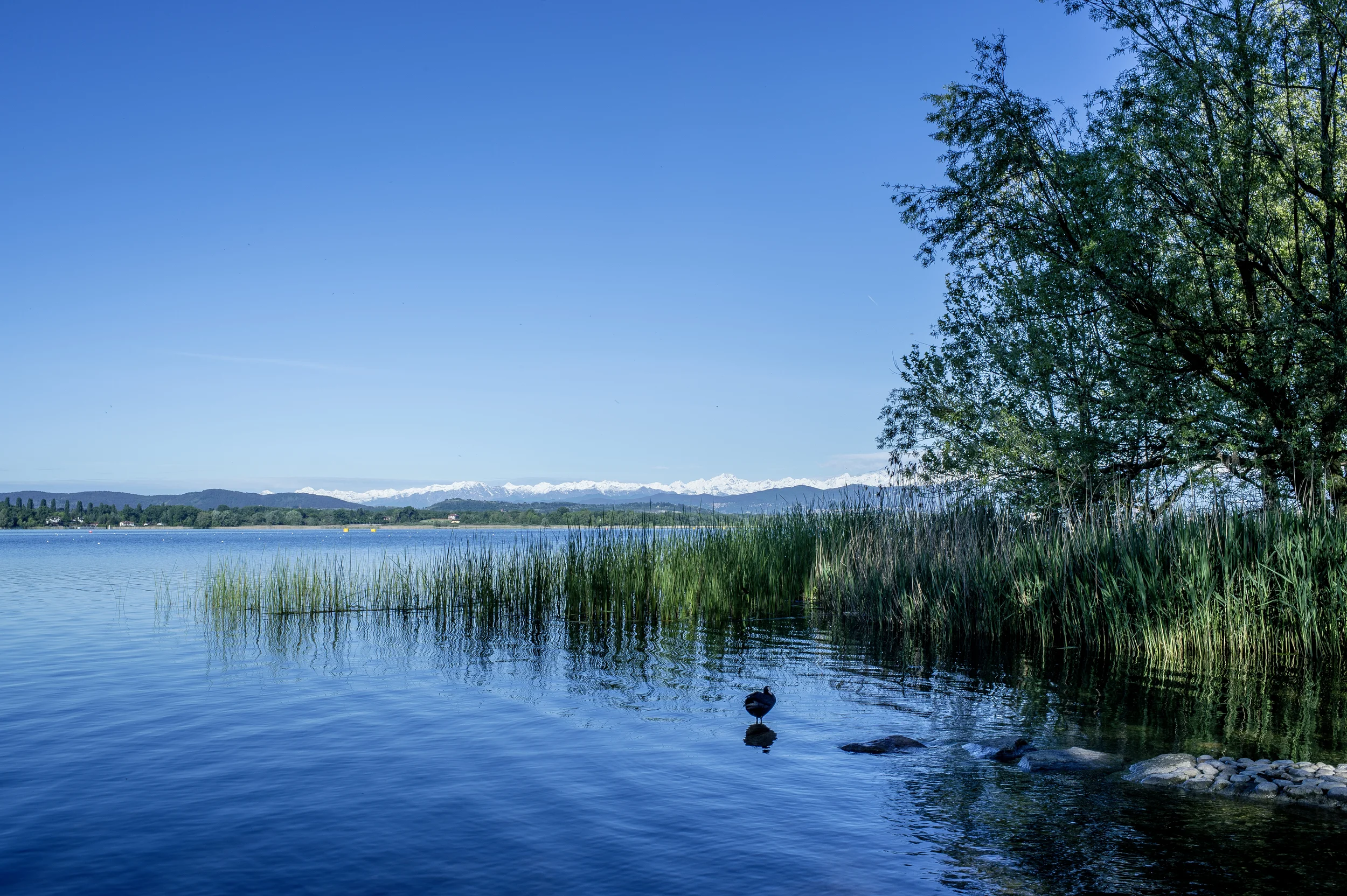 ..und der wunderschöne Lago di Varese mit dem Monte Rosa Massiv