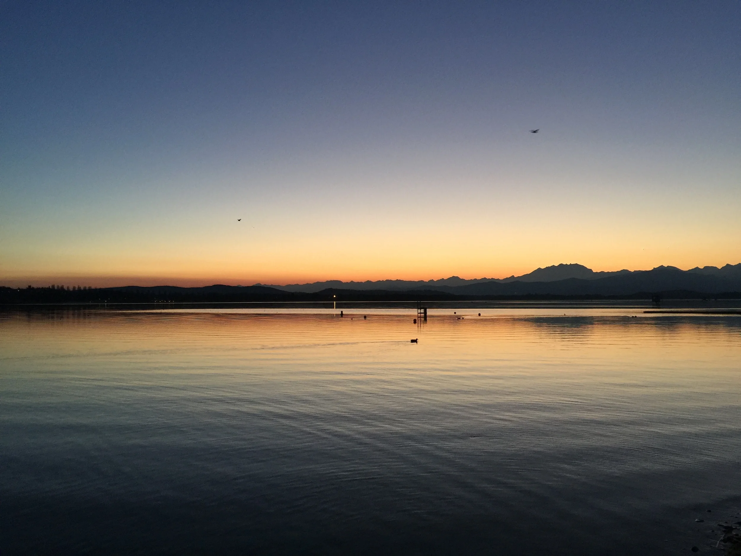 Skiff Ruderlager in Varese, Italien