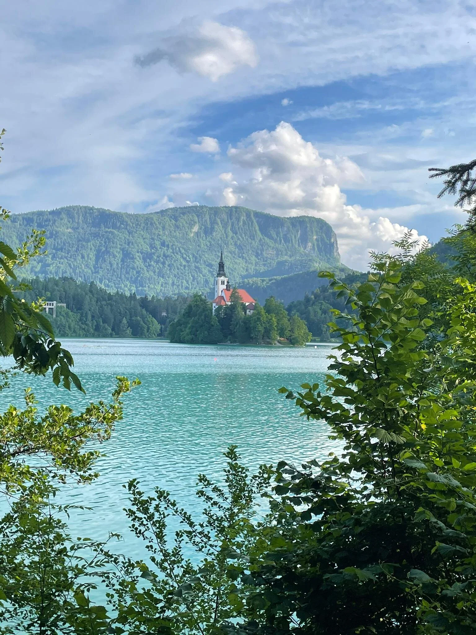 WhatsApp Image 2021-06-18 at 07.36.56.jpeg