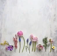 Spring flowers 2.jpg
